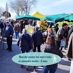 Appart' Chelona Luth - Centre-ville - Chelona'loc *