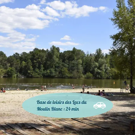 Appart' Chelona Luth - Centre-ville De - Chelona'loc